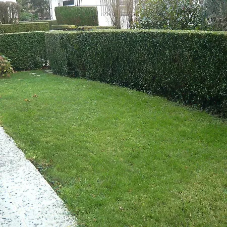 Apartment Les Caravelles شقة